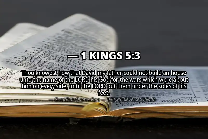 1 KINGS 5:3 Verse