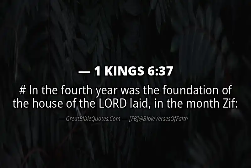 1 KINGS 6:37 Verse