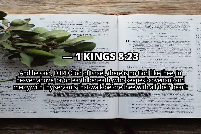 1 KINGS 8:23 Verse