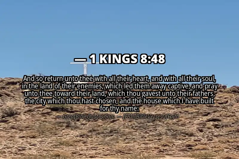 1 KINGS 8:48 Verse
