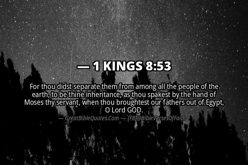 1 KINGS 8:53 Verse