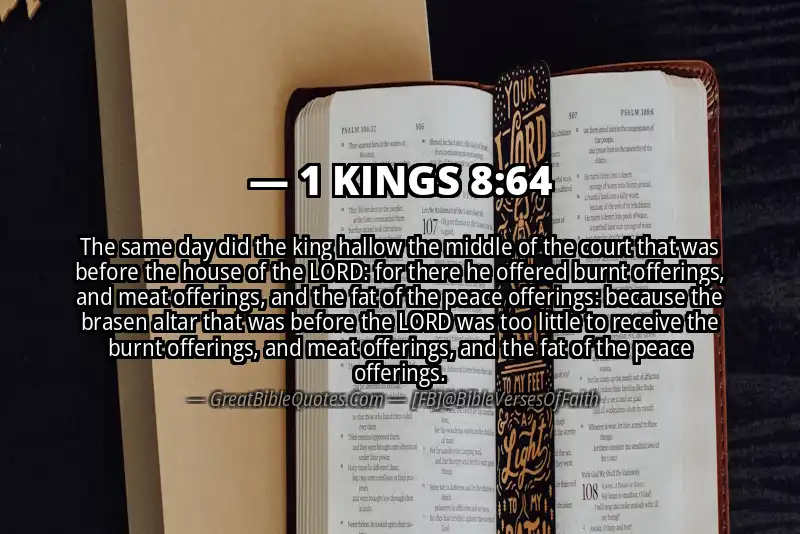 1 KINGS 8:64 Verse