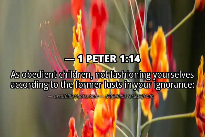 Bible verse: 1 PETER 1:14 Image
