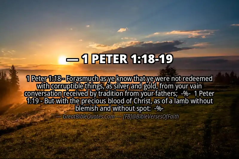 Image for 1 PETER 1:18-19 Bible verse