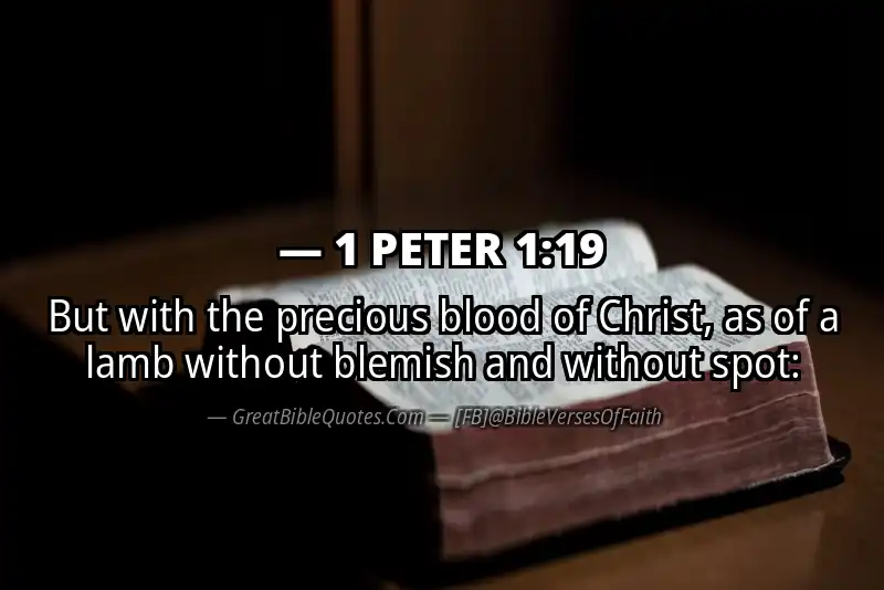 Bible verse: 1 PETER 1:19 Image
