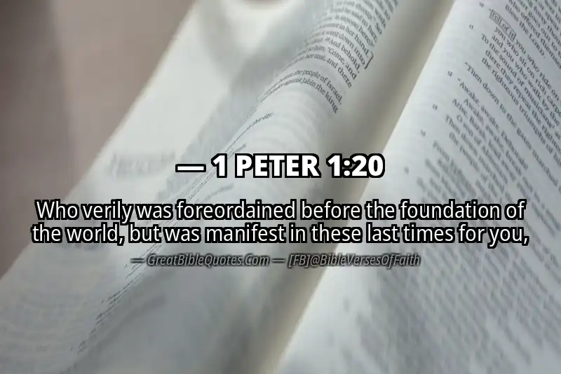 Bible verse: 1 PETER 1:20 Image