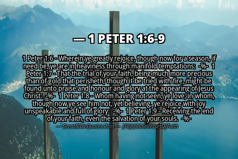 Image for 1 PETER 1:6-9 Bible verse
