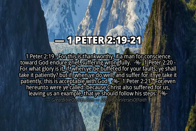 Image for 1 PETER 2:19-21 Bible verse