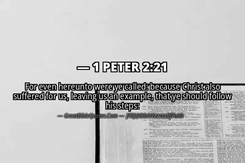 Image for 1 PETER 2:21 Bible verse