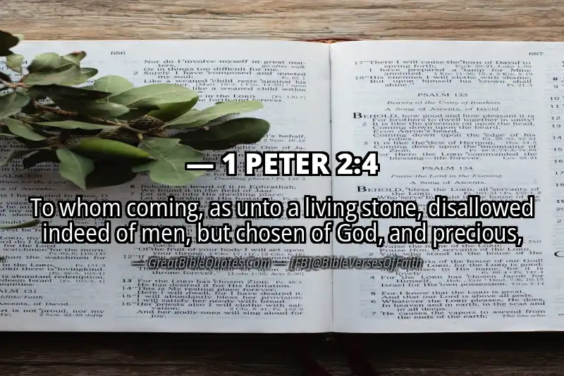 Bible verse: 1 PETER 2:4 Image