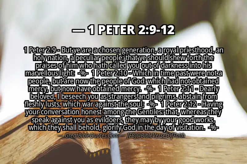 Image for 1 PETER 2:9-12 Bible verse