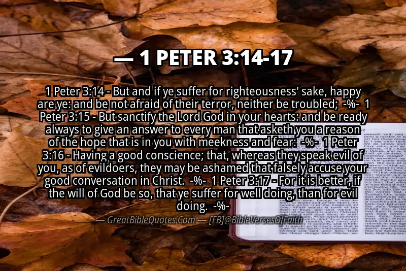 Image for 1 PETER 3:14-17 Bible verse