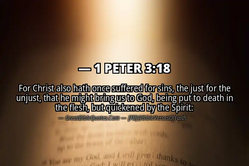 Bible verse: 1 PETER 3:18 Image