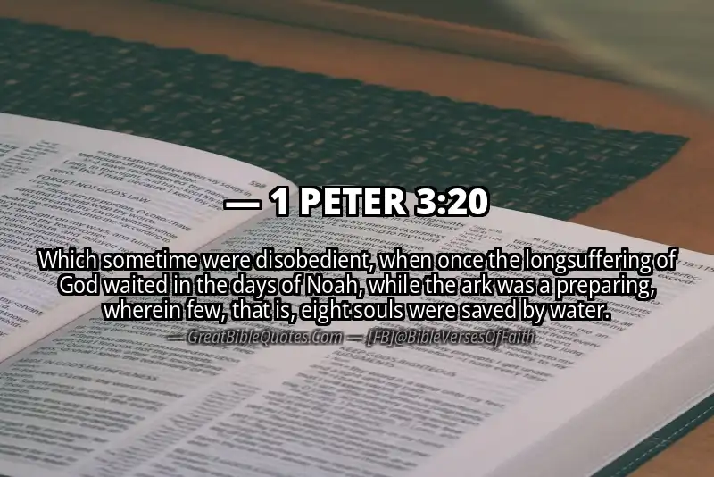 Bible verse: 1 PETER 3:20 Image