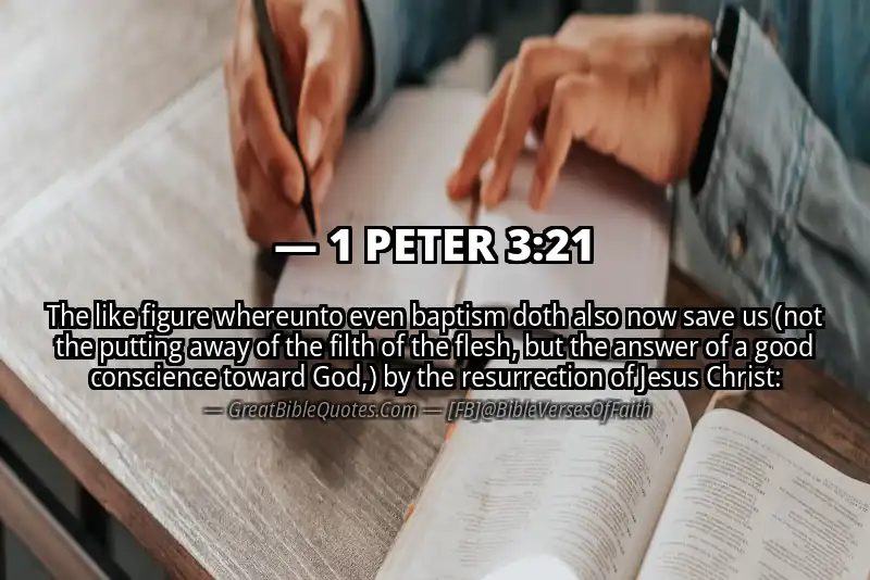 Bible verse: 1 PETER 3:21 Image