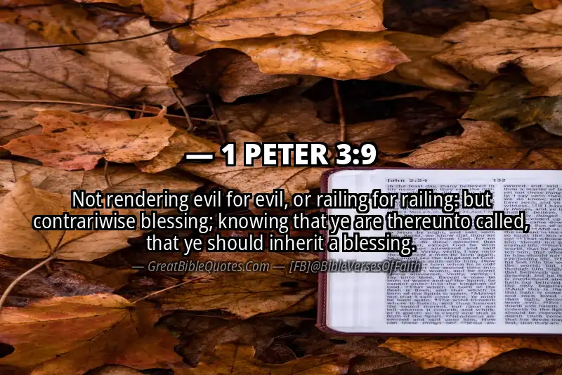 1 PETER 3:9 Verse