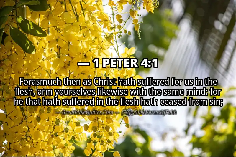 Bible verse: 1 PETER 4:1 Image