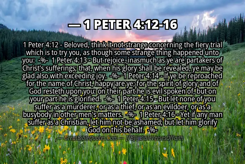 Image for 1 PETER 4:12-16 Bible verse