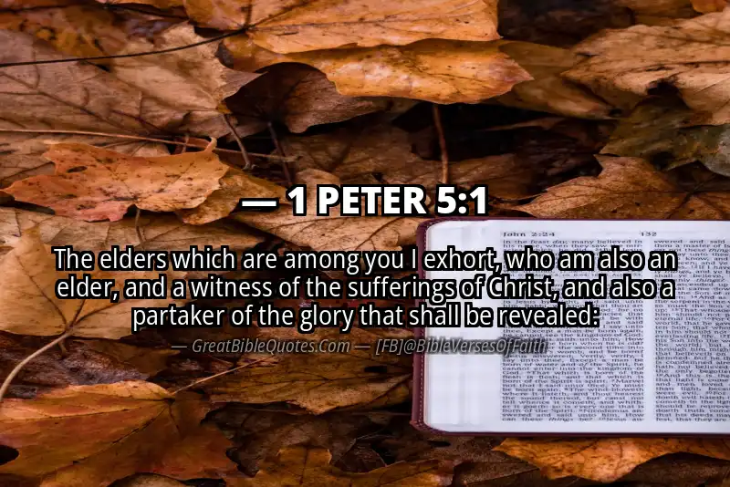 1 PETER 5:1 Verse