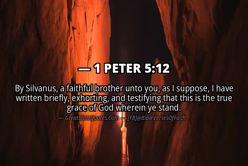 Bible verse: 1 PETER 5:12 Image
