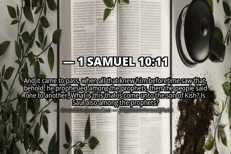 Bible verse: 1 SAMUEL 10:11 Image