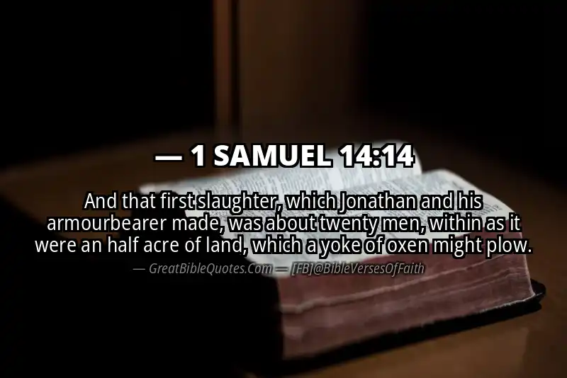 1 SAMUEL 14:14 Verse Image