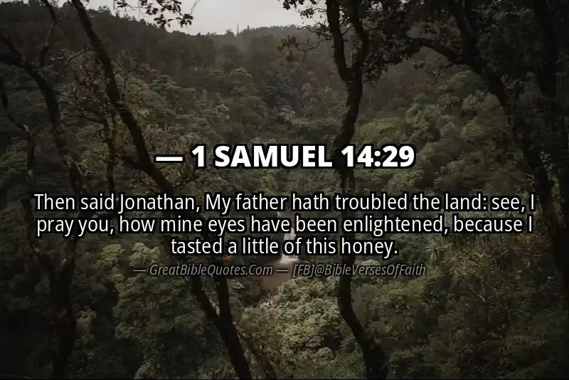 1 SAMUEL 14:29 Verse