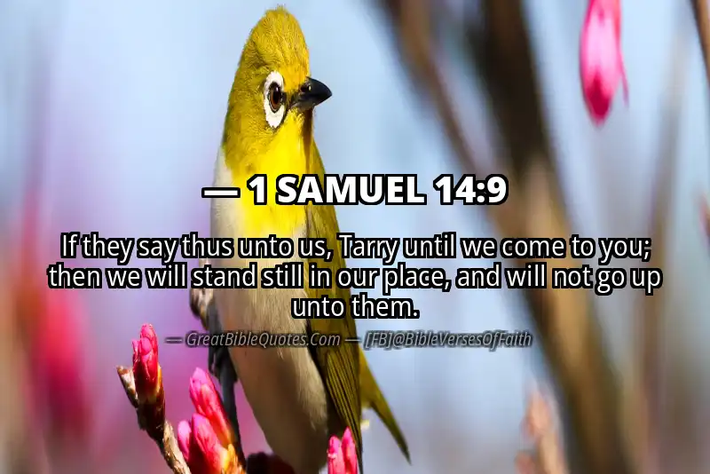 1 SAMUEL 14:9 Verse
