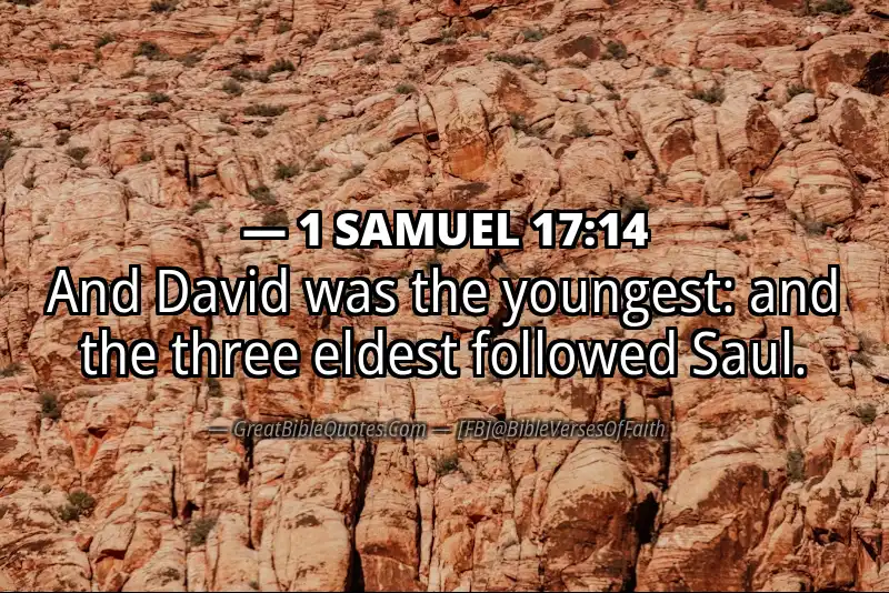 1 SAMUEL 17:14 Verse