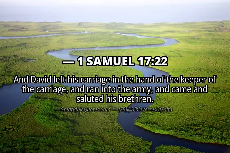 1 SAMUEL 17:22 Verse
