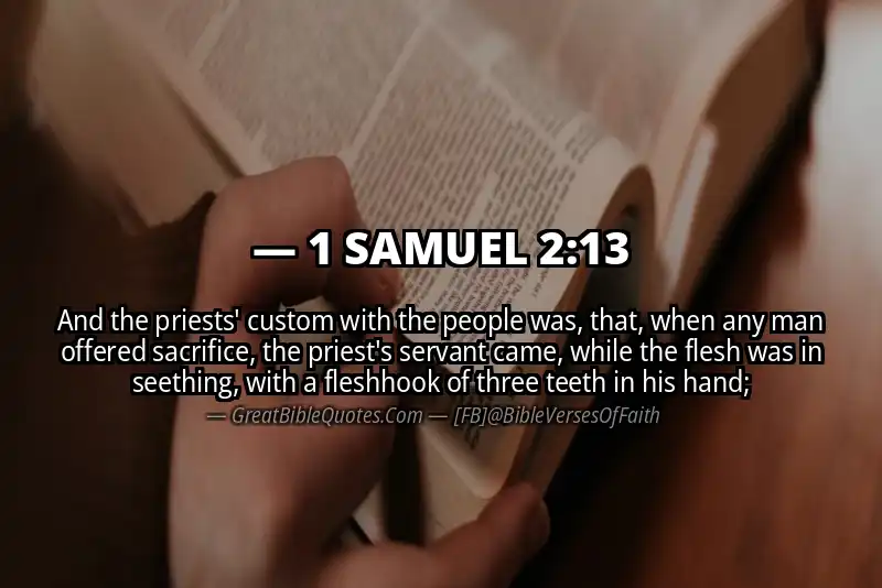 1 SAMUEL 2:13 Verse