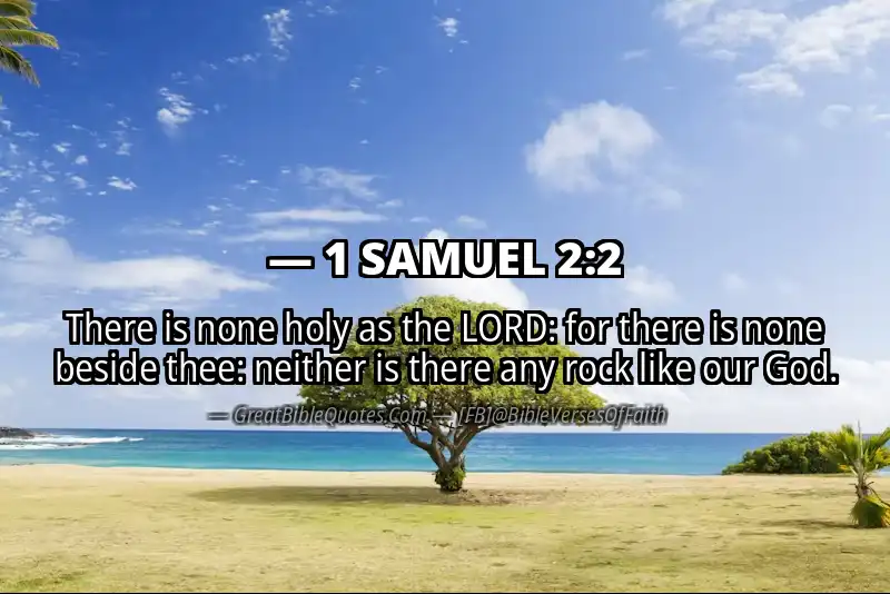 1 SAMUEL 2:2 Verse Image