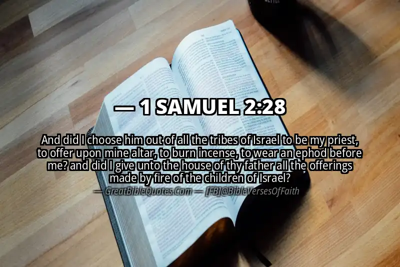 1 SAMUEL 2:28 Verse Image
