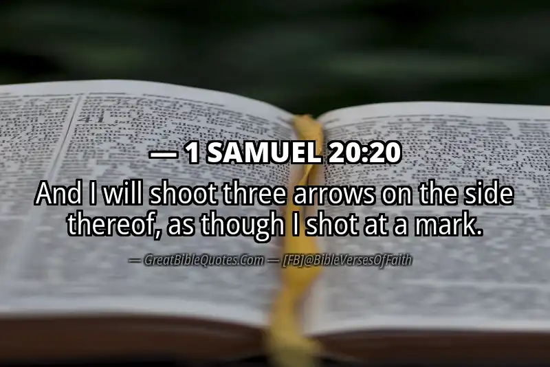 Bible verse: 1 SAMUEL 20:20 Image