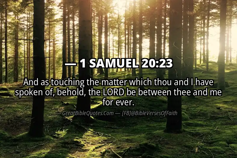 Bible verse: 1 SAMUEL 20:23 Image