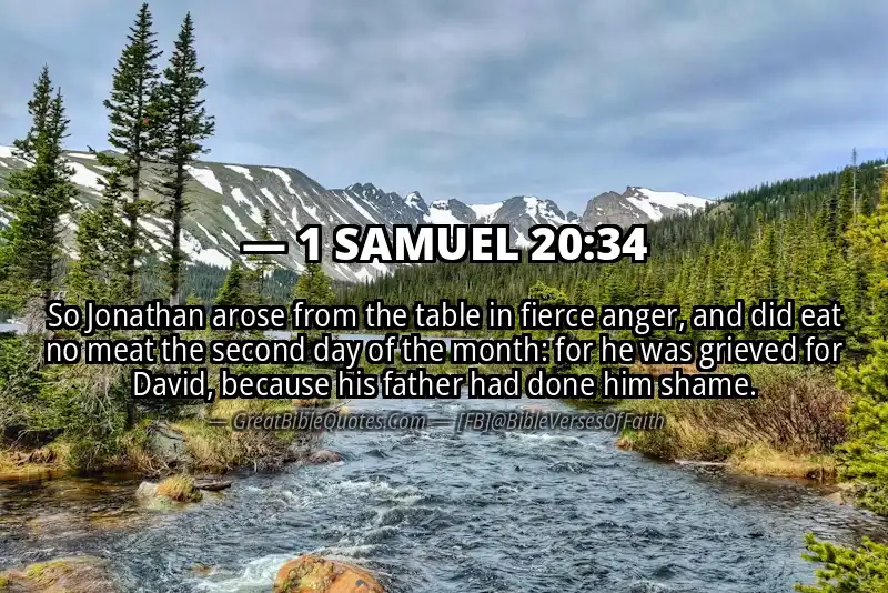 1 SAMUEL 20:34 Verse