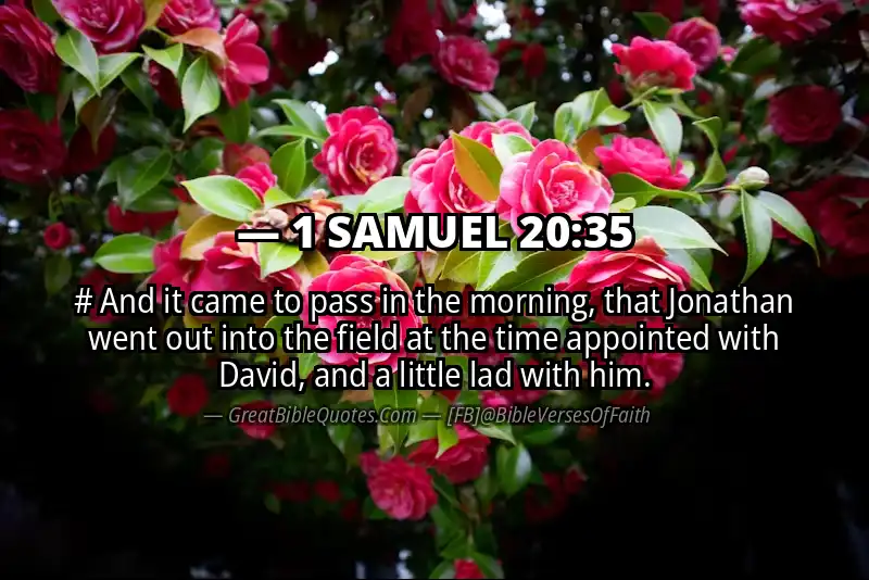 1 SAMUEL 20:35 Verse