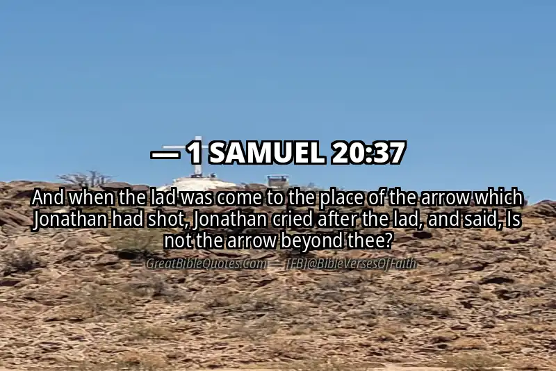 Bible verse: 1 SAMUEL 20:37 Image