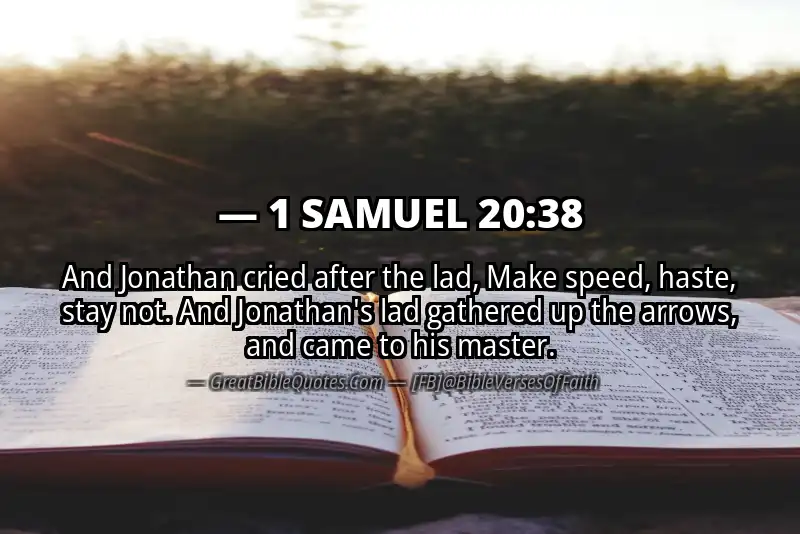 Bible verse: 1 SAMUEL 20:38 Image