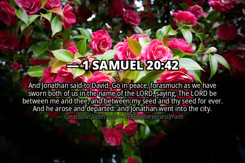 Bible verse: 1 SAMUEL 20:42 Image