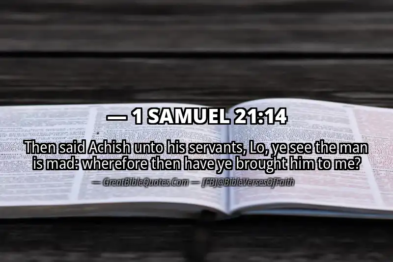 Bible verse: 1 SAMUEL 21:14 Image
