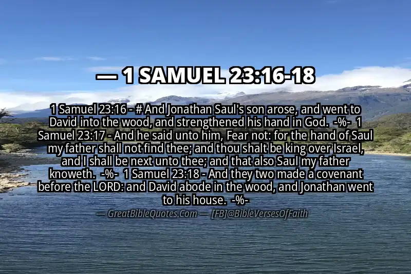 Image for 1 SAMUEL 23:16-18 Bible verse