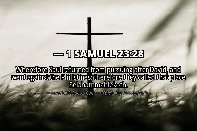 Bible verse: 1 SAMUEL 23:28 Image