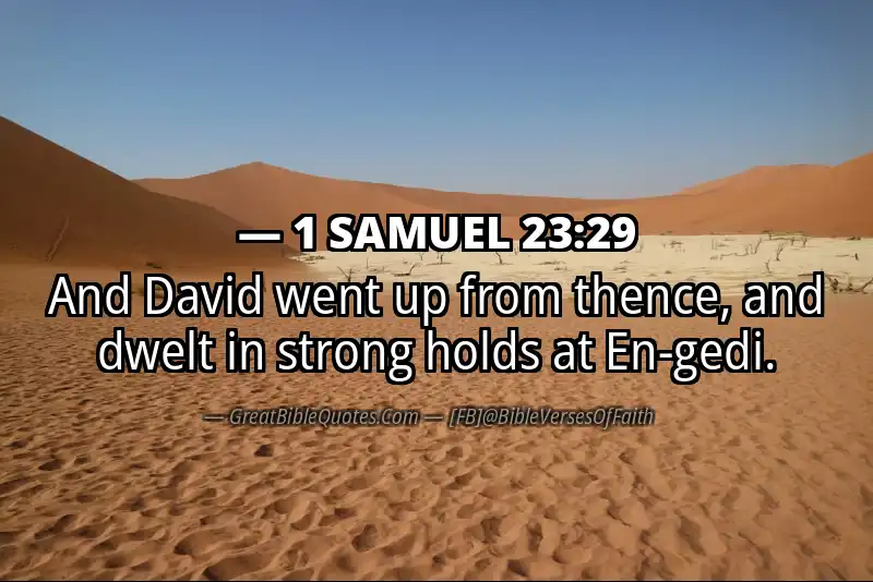 1 SAMUEL 23:29 Verse