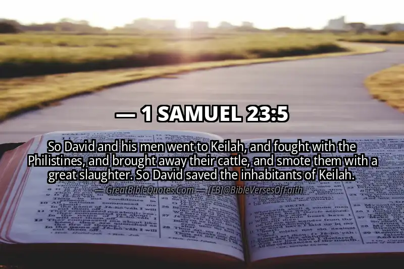 Bible verse: 1 SAMUEL 23:5 Image