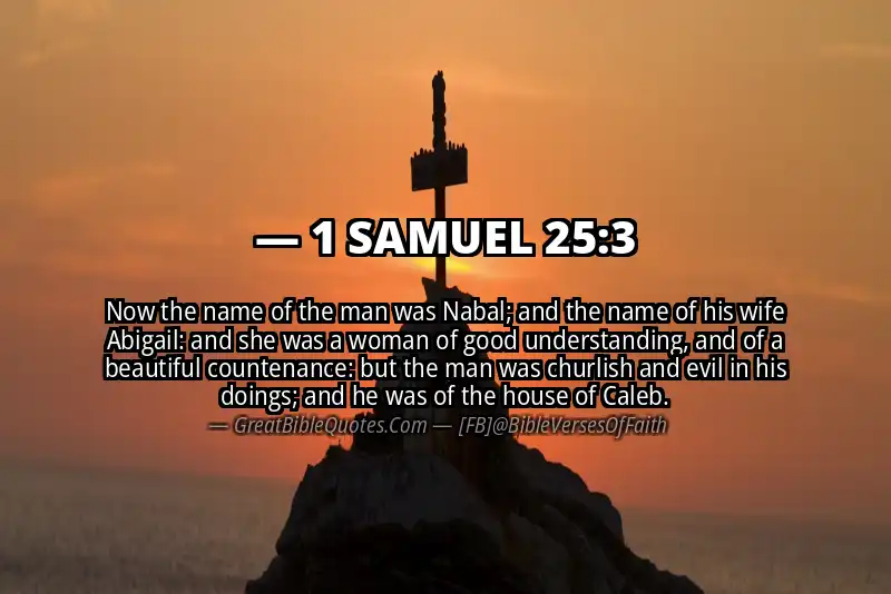 Bible verse: 1 SAMUEL 25:3 Image