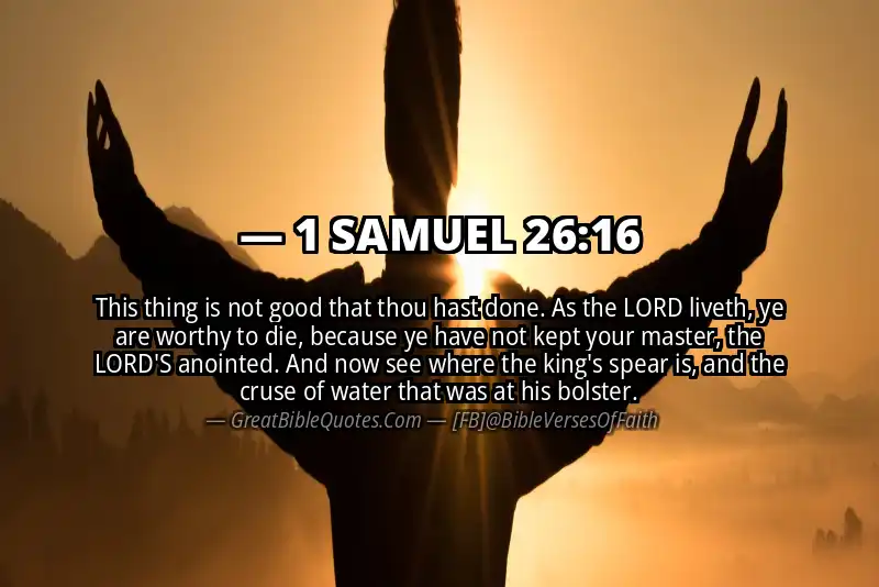 Bible verse: 1 SAMUEL 26:16 Image