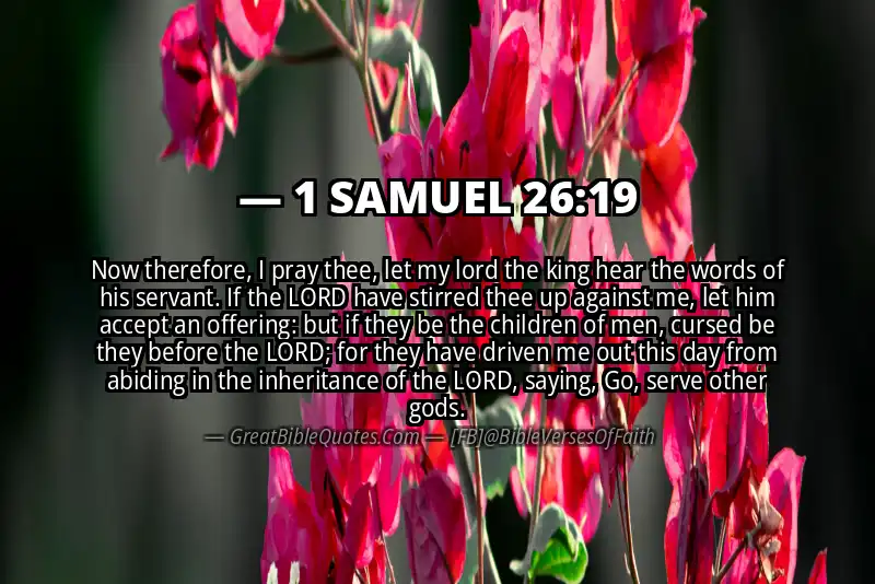 Bible verse: 1 SAMUEL 26:19 Image