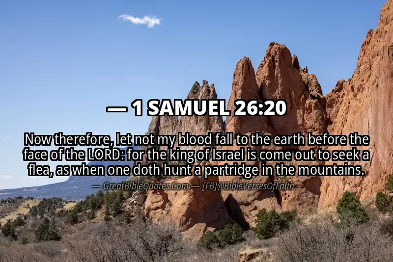 Bible verse: 1 SAMUEL 26:20 Image