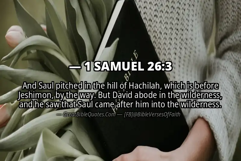 1 SAMUEL 26:3 Verse